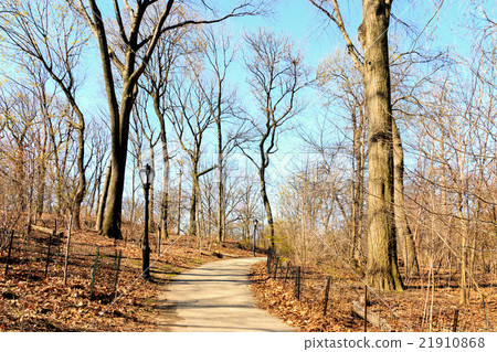 Central Park Spring - New York City 21910868