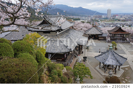 [Saigoku Kannon Pilgrimage] No. 14 Mii-dera Kannon-do and Otsu City in the spring when cherry blossoms bloom, Otsu City, Shiga Prefecture 21910924