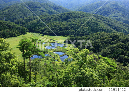 從Tenkyu山 21911422