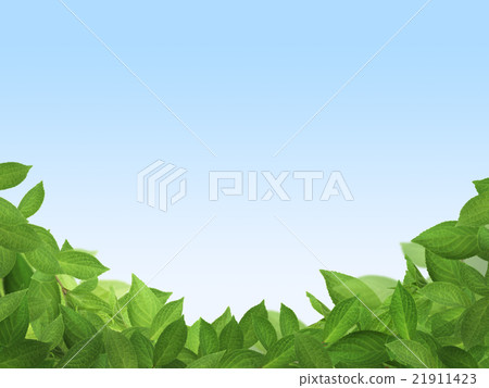 自然背景 21911423