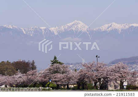 在平川和北阿爾卑斯山的松本櫻花的櫻花寺山遠處的觀光橫須賀信濃川系統的頭等河 在平川和北阿爾卑斯山的松本櫻花的櫻花寺山遠處的觀光橫須賀信濃川系統的頭等河 21911583