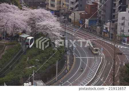 Asuka mountain in spring and 7 meters 21911657