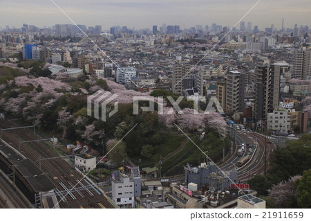 Asuka mountain and Tenpei 9000 type (spring color) Asuka mountain and Tenpei 9000 type (spring color) 21911659