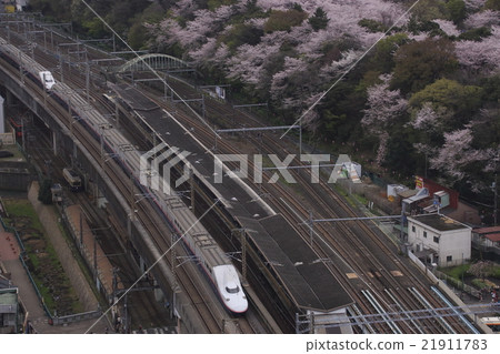 明日香山櫻花和上越新幹線E4系列（土色） 21911783