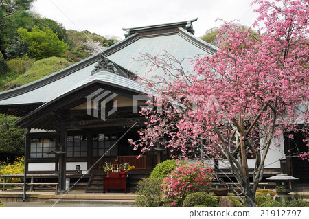 四月花花中12鎌倉/ Kaidoji寺 21912797