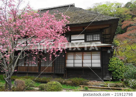 四月花花中13鎌倉/ Kairakuji 21912798