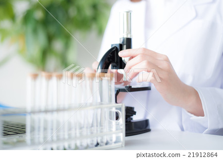 研究女性部分 研究女性部分 21912864