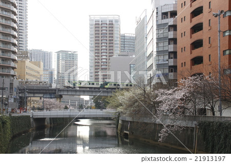 Meguro River and Tokyu Ikegami Line 7000 Series Train Meguro River and Tokyu Ikegami Line 7000 Series Train 21913197