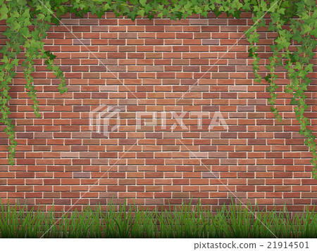 ivy and grass on brick wall background ivy and grass on brick wall background 21914501