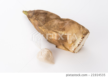 剝皮的竹筍 剝皮的竹筍 21914535