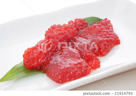 石棺Ikura石榴紅肌肉 21914793