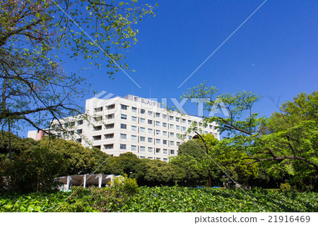 駒澤大學和駒澤公園 駒澤大學和駒澤公園 21916469