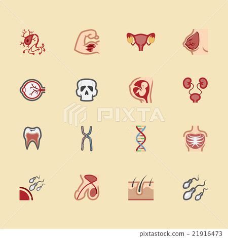 body element vector color icon set2 body element vector color icon set2 21916473