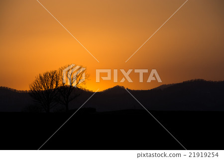 Evening sky Evening sky 21919254