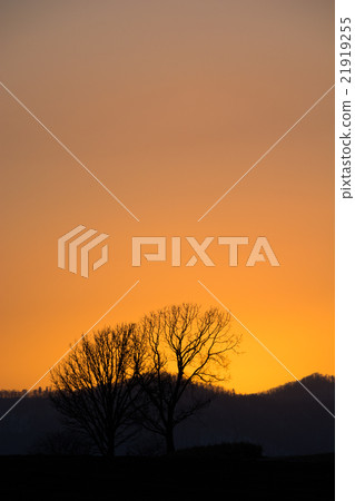 Evening sky 21919255