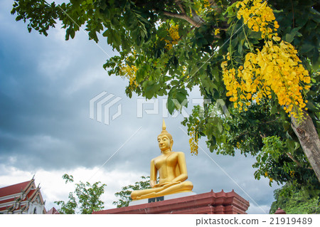 Buddha statues with yellow flower in the temple 21919489