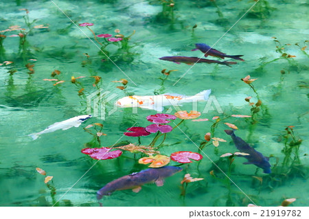 Pond of monet 21919782