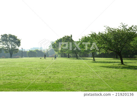 長坂谷公園 21920136
