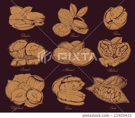 Engraved nuts isolated. Set of mixed nuts. Engraved nuts isolated. Set of mixed nuts. 21920422