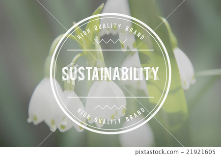 Sustainbility Environmental Conservation Resources Ecology Conce 21921605