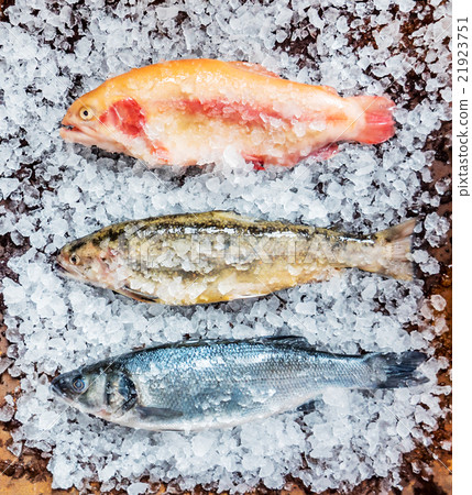 fresh fish fresh fish 21923751