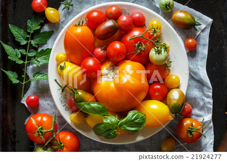 colorful tomatoes 21924277