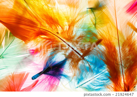 Colorful feathers Colorful feathers 21924647