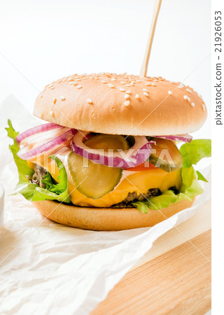 burger with french fries 21926053