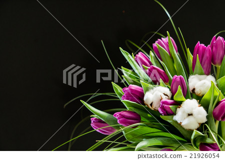spring flowers 21926054