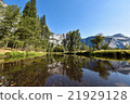 Summer Yosemite National Park 21929128