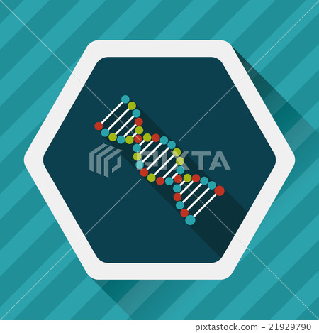 DNA flat icon with long shadow DNA flat icon with long shadow 21929790