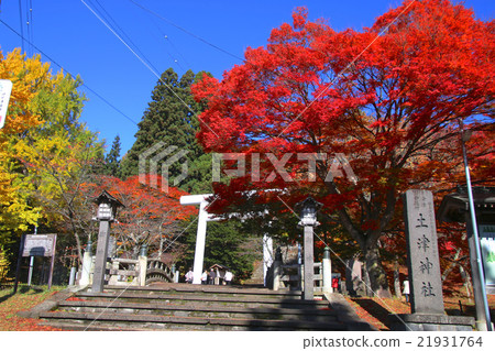 Tsuchi神社在秋天 21931764