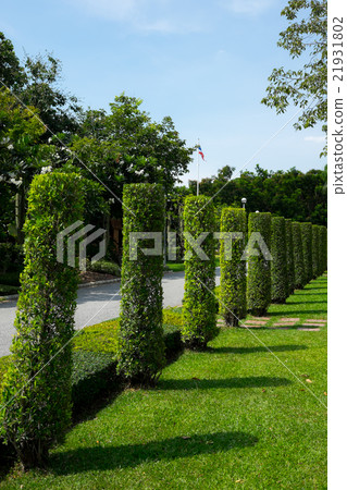 public garden and park - Thailand 21931802