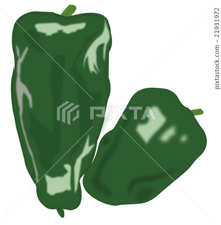 green pepper  21931972