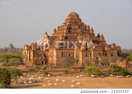 Dhammayangyi The biggest Temple in Bagan , Myanmar 21933747