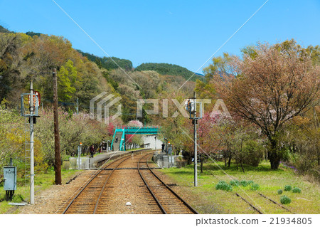 Waka離開和新鮮的綠色Watasage谷鐵路·神戶站 21934805