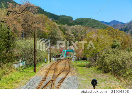Waka leaves and fresh green Watasage Valley Railway · Kobe Station 21934808
