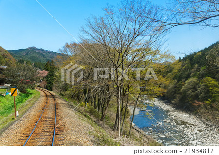 Wakasa valley railway of young leaves and fresh green 21934812