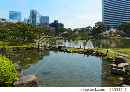 The old Shiba Rikyu Imperial Palace garden and cherry blossoms in full bloom 21935242