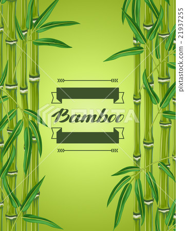 Background with bamboo plants and leaves. Image Background with bamboo plants and leaves. Image 21937255