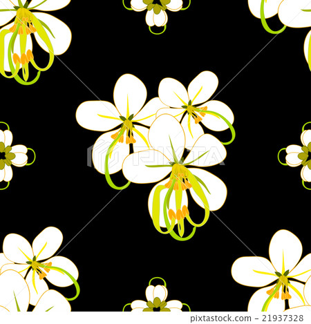 Cassia Fistula - Gloden Shower Flower Background2 21937328