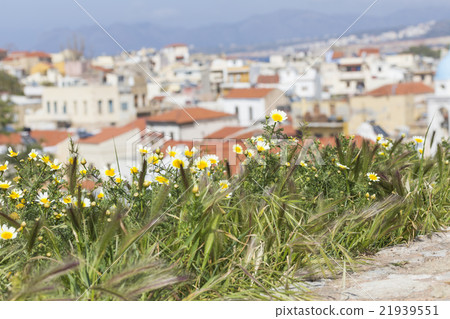 View of the white houses of Chania, Crete, Greece 21939551