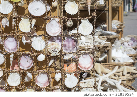 Starfish and seashells souvenirs for sale Starfish and seashells souvenirs for sale 21939554