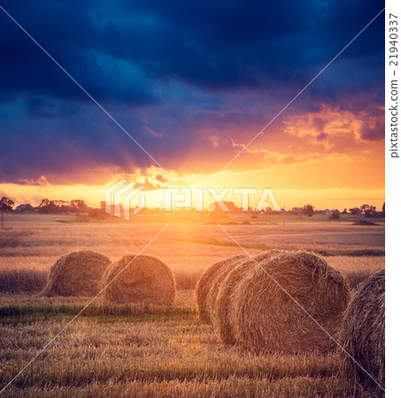 Summer Farm Scenery with Haystacks. Sunset View. 21940337
