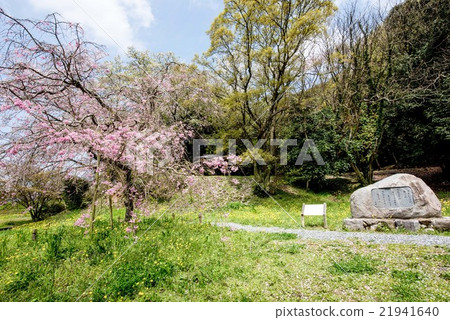 A trip to Kyushu, I introduce the tower trace of Dazaifu. 21941640