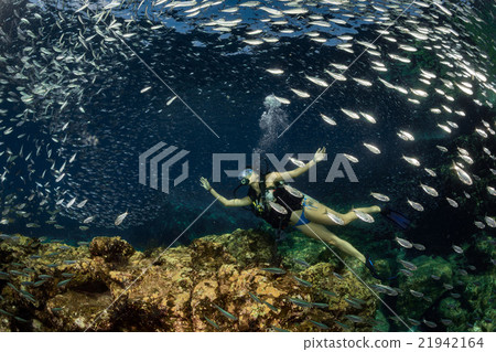 Beaytiful Latina Diver Inside a school of fish 21942164