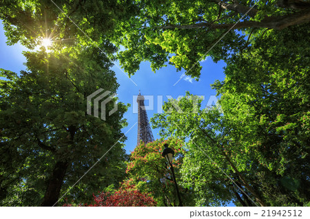 Eiffel Tower through the trees a summer day 21942512