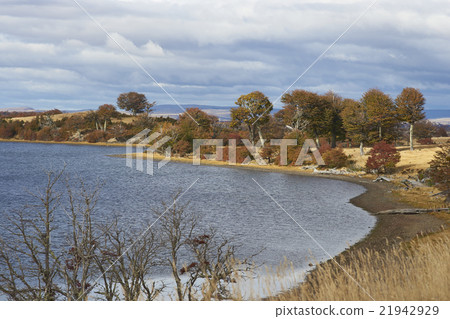 Autumn in Patagonia Autumn in Patagonia 21942929