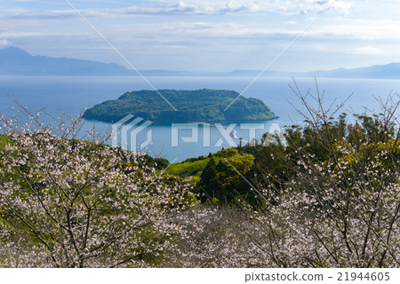 Wakabashigashima and Sakura Wakabashigashima and Sakura 21944605