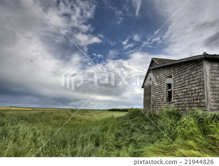 Abandoned Farm Abandoned Farm 21944826